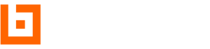 Boission Web Logo Orange